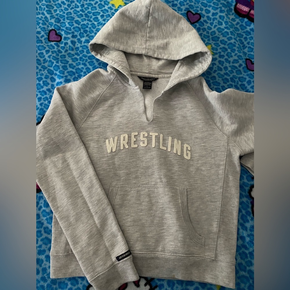 Abercrombie & Fitch sweatshirt